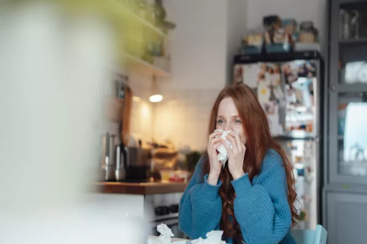 ウィルス感染症に罹ったら摂取したい、免疫力を上げる4つの食品。